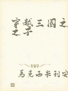 穿越三国之袁绍之子封面