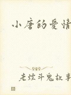 小唐的爱情史