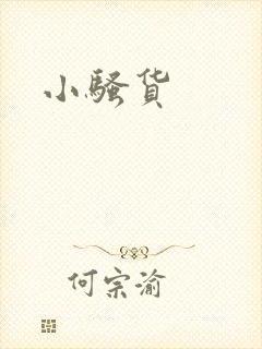 小骚货封面