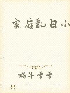 家庭乱日小说封面