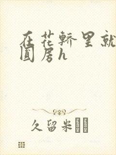 在花轿里就开始圆房h封面