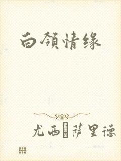白领情缘封面