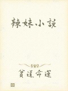 辣妹小说