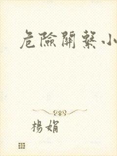 危险关系小说