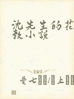 沈先生的花式管教小说