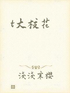 t大校花封面