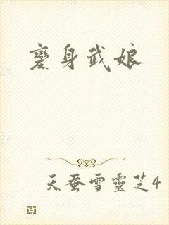 变身武娘封面