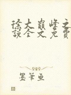 徐大巅峰之路小说全文免费阅读