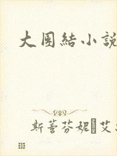 大团结小说阅读
