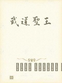 武道圣王封面