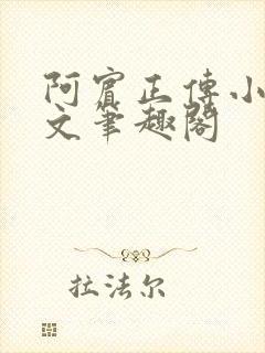 阿宾正传小说全文笔趣阁
