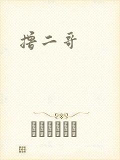 撸二哥