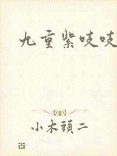 九重紫吱吱小说