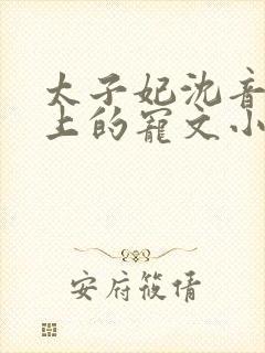 太子妃沈音和皇上的宠文小说封面