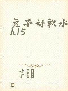 兔子好软水好多h15封面