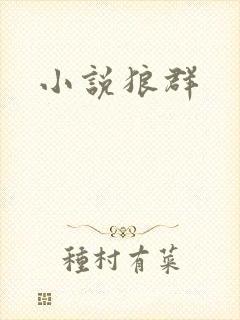 小说狼群