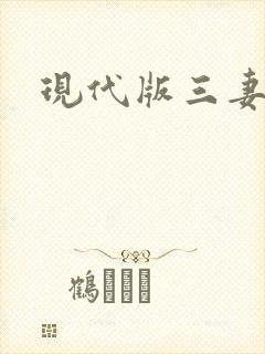 现代版三妻四妾封面