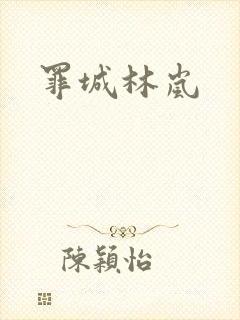 罪城林岚封面
