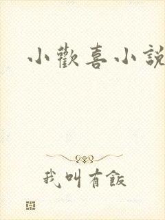 小欢喜小说