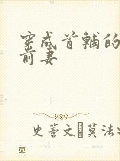 穿成首辅的炮灰前妻