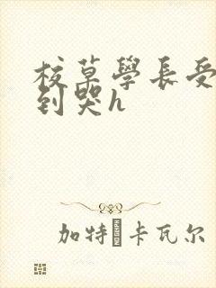 校草学长受被做到哭h
