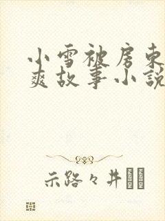 小雪被房东的好爽故事小说