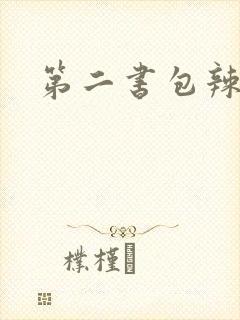 第二书包辣文