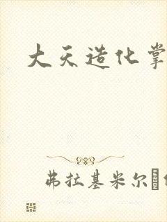 大天造化掌