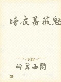 暗夜蔷薇魅