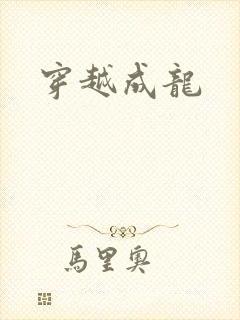 穿越成龙封面
