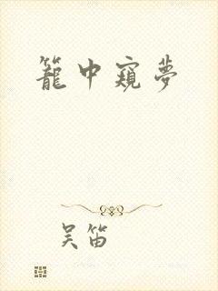 笼中窥梦