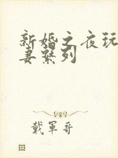 新婚之夜玩弄人妻系列封面