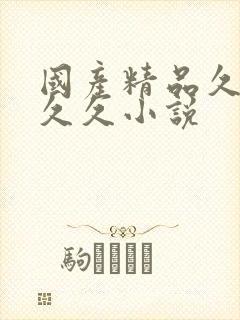 国产精品久久久久久小说