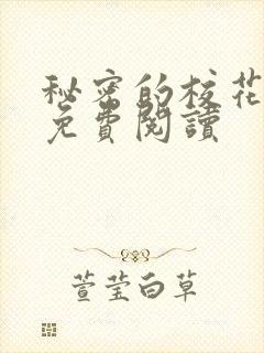 秘密的校花小说免费阅读封面