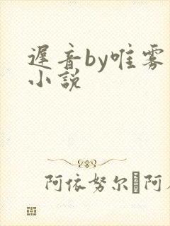 迟音by唯雾的小说