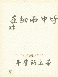 在细雨中呼喊txt