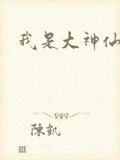 我是大神仙小说
