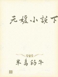 元媛小说下载