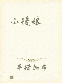 小后娘封面