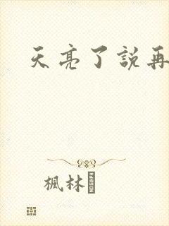 天亮了说再见封面