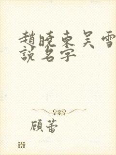 赵晓东吴雪晴小说名字