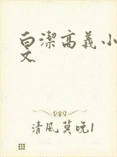 白洁高义小说全文