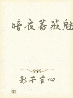 暗夜蔷薇魅