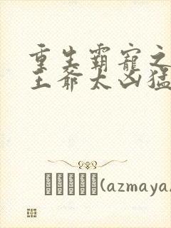 重生霸宠之摄政王爷太凶猛