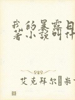 我的暴露日记原著小说叫什么