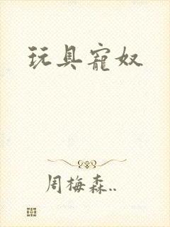 玩具宠奴