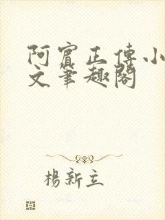 阿宾正传小说全文笔趣阁