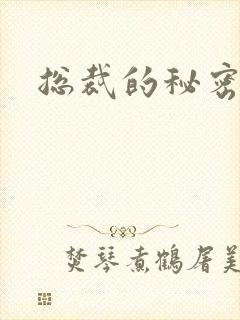 总裁的秘密情人封面