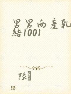男男向产乳文小结1001封面
