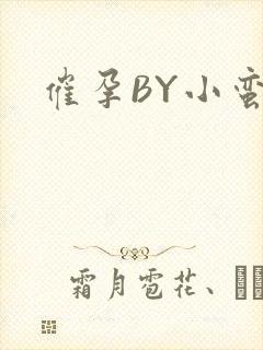 催孕BY小蛮腰